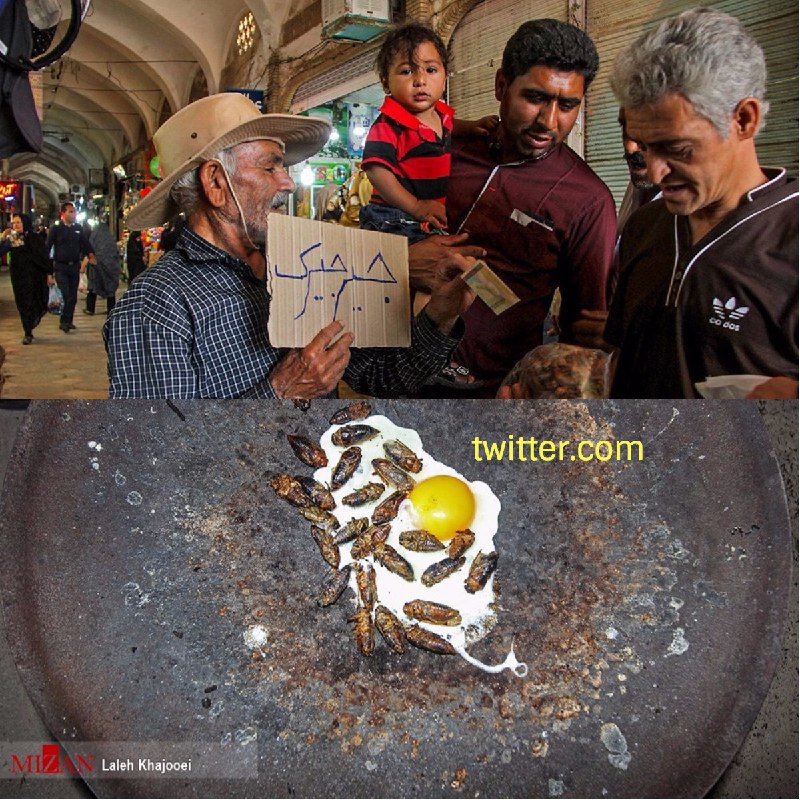 در #کرمان گونه خاصی از #جیرجیرک که معتقدند خواص دارویی داره رو برای مقاصد درمانی میخورند.IranNewspaperچرا آنجلینا جولی حشره می‌خورد؟ t.me/VahidOnline/21889آپدیت