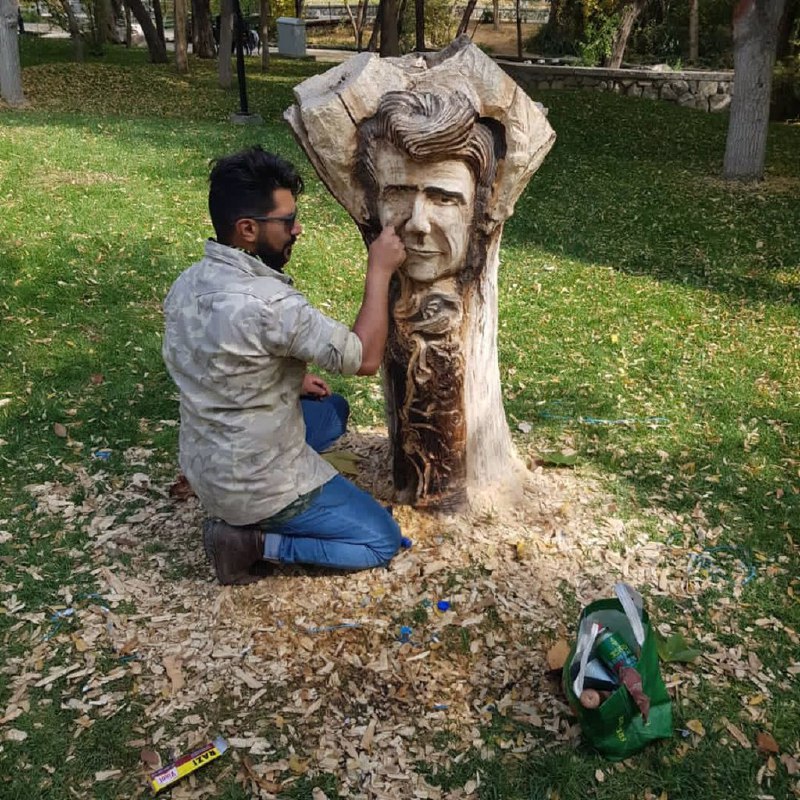 تنه درخت قطع‌ شده‌ای در پارک ملت #مشهد که یک هنرمند جوان تصویر محمدرضا #شجریان را پس از درگذشت او بر آن حک کرده بود، از بیخ بریده شد.فرزانه ابراهیم‌زاده، روزنامه‌نگار، با انتشار عکس‌هایی از قبل و بعدِ این تنه درخت، در توییتر نوشت هنرمندی که این یادبود را حکاکی کرده، گفته بوده این کار را با اجازه شهرداری و مسئولان پارک ملت انجام داده است. febrahimzade#احمد_نبی‌زاده، هنرمند صاحب این اثر، در اینستاگرام نوشت که در پاسخ به تقاضای او برای تحویل گرفتن اثرش «تهدید» شده است. او خطاب به مسئولان مرتبط نوشت که اثرش «اگر به هر جهت مناسب نبود با خود من هماهنگ می‌شد تا خودم برای جابه‌جایی‌اش اقدام می‌کردم، نه با سناریوهای مضحک بنده را احمق فرض کنند و با تهدید بنده را از حق خودم که داشتن محصول دست خودم هست، منع کنند». ahmad.nabizadeh.artRadioFarda_آپدیت