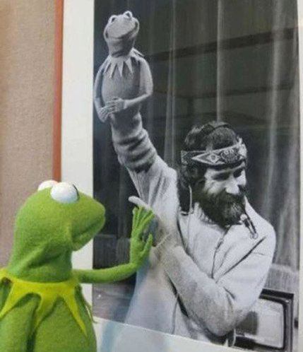 مرگ #دنیافنی‌زاده‌، بیش از هر‌چیز من را یاد ‌این تصویر میاندازد.#کرمیت #قورباغه، غمگینانه به تصویرِ گرداننده‌ درگذشته خود Jim Henson مینگرد.SheTweeting
