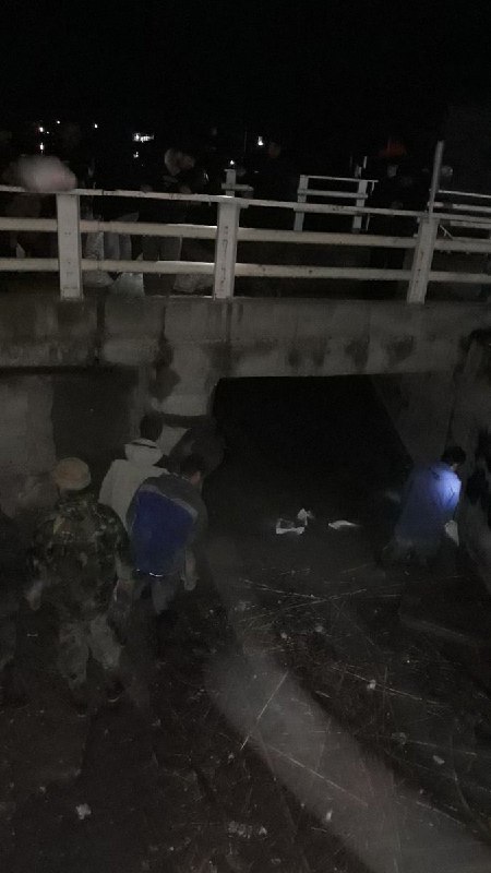 فائزه عبدی‌پور