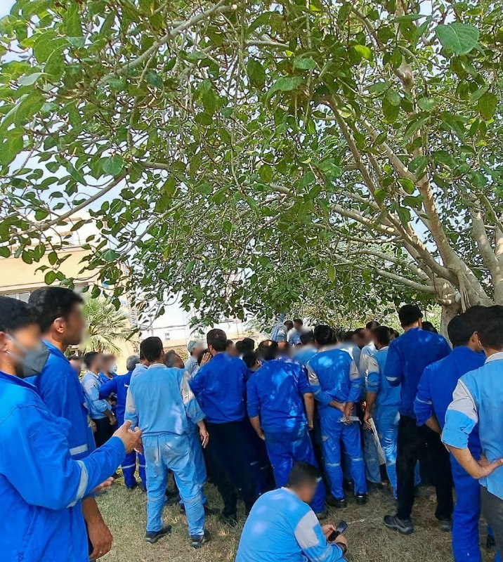 هرانا