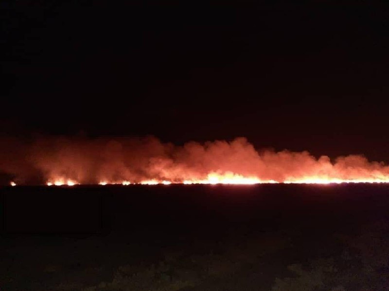 آتش‌سوزی شبانه در ارتفاعات پارک ملی بموایرنا