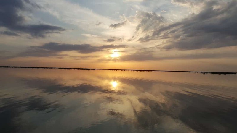 اردیبهشت... فصل برداشت #گندم در #خوزستان است... و این وضعیت محصول گندم‌زارهای خوزستانه 😢mohamad6709این دریاچه نیست، یه گندم زاره که زیر آب رفته (سوسنگرد) manam_abbasدرباره عکس مشابه دیگری