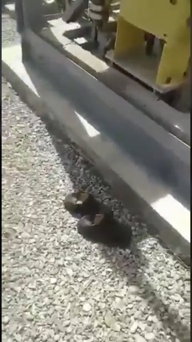 کفش‌ها داستان سایه‌ی سیاه چهل و یک ساله رو تعریف می‌کنن. 61fateme‏#PS752#عمران_روشنی_مقدم📡 @VahidOnlineکفش‌ها داستان سایه‌ی سیاه چهل و یک ساله رو تعریف می‌کنن. 61fateme‏#PS752#عمران_روشنی_مقدم📡 @VahidOnline