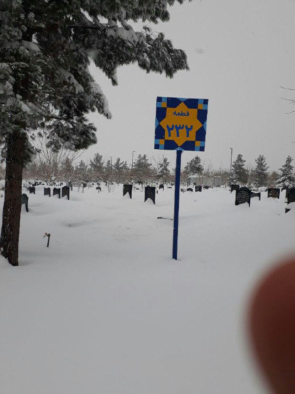 عکس دریافتی با شرح