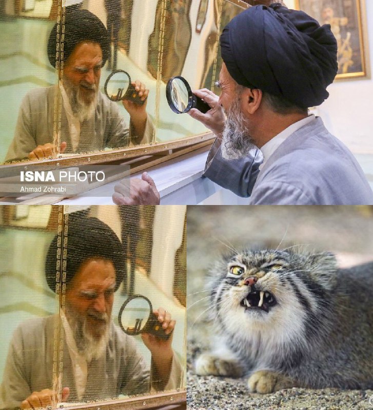 دنبال چی میگردی با این دقت؟ ذره‌بین نمی‌خواد، نوشته هوای یتیم‌ها و فقرا رو داشته باشید! twitter.com/mohsen__e/status/953731372379721728📷 fiureh