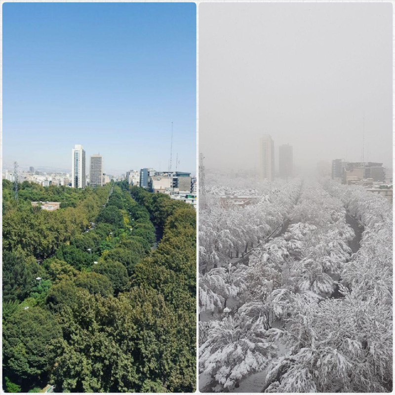 تصویر دریافتی از