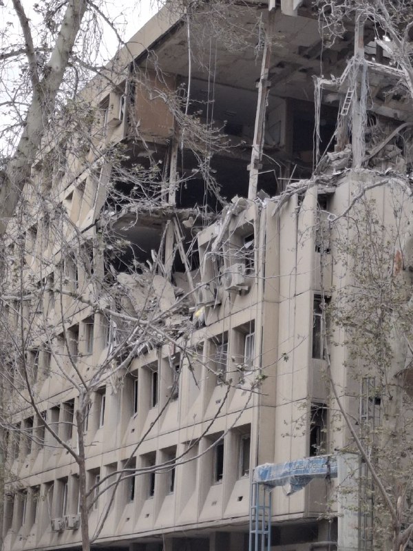 تصاویر دریافتی