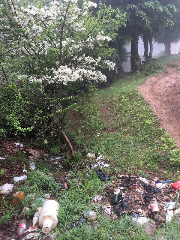 سر دوربین رو یه کم گرفتم پایین‌تر فقط. Maryam__Momeni