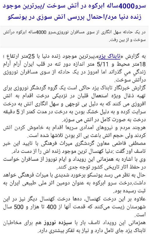 aminmafia & blind_owl