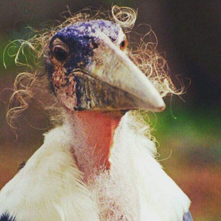 تو زندگی قبلیش #استادفیزیک بوده.Namak_1