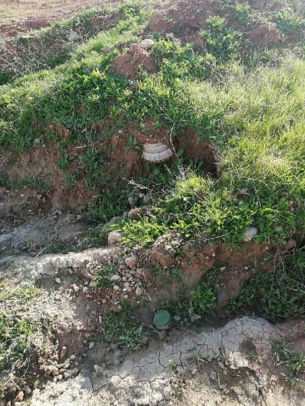 eisabazyar