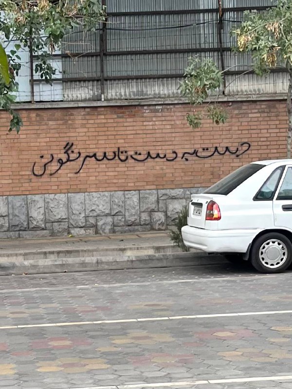 «دست به دست تا سرنگونی»'دیوار بنیاد شهید #شیراز، ۱۸ آبان'#دیوارنویسیVahid📡 @VahidOnline