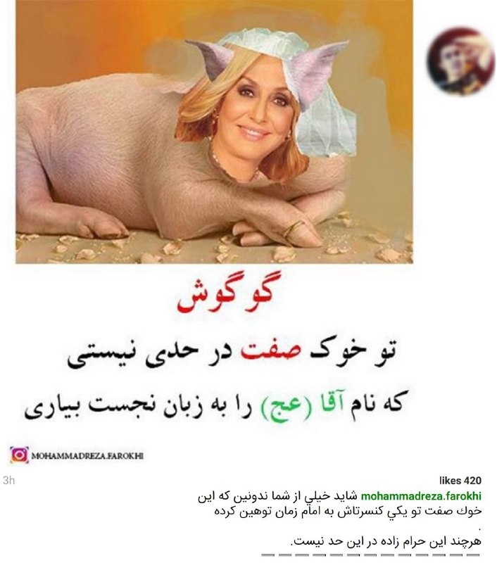 اصلا نمی‌دونم ویدیوی #گوگوش رو دیدند و توهین به #امام_زمان برداشت کردند یا اینطوری بهشون گفته شده که توهین برداشت کنند و #حمله_کامنتیmohammadreza.farokhi