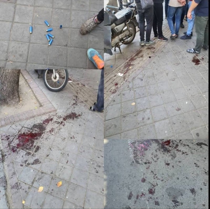 (⚠️خون در تصویر سوم)ظهر روز سه شنبه سه سارق اقدام به #سرقت_مسلحانه از یک واحد صنفی طلا فروشی درخیابان حجتی #تبریز کردند. iranwireبنا بر گزارش‌ها، در جریان این حمله، یک عابر پیاده در اثر شلیک گلوله از تفنگ سارقان جان باخت و صاحب #طلافروشی هم مصدوم شد. IranIntlفرمانده انتظامی تبریز گفته که سارقان از محل متواری شدند.bbcpersian3️⃣ کسی هم متن زیر رو نوشته که نتونستم منبع دیگری برای ارقام و جزئیاتش پیدا کنم. ویدیویی هم منتشر نشده که بشه درستی‌اش رو ارزیابی کرد ولی خودش عکس خونین دیگری گذاشته. (نمی‌دونم خودش عکس گرفته یا قبلا جای دیگری منتشر شده)