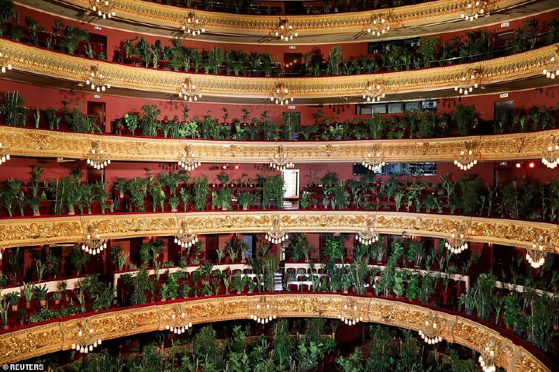 1️⃣این عکس NachoDoce از جایگزین کردن تماشاچیان #کنسرت با #گیاهان در بارسلون از عجیب‌ترین عکس‌های روزگار #کرونا است. EbrahimHeidari2️⃣هنرمندان اسپانیایی روز دوشنبه در اقدامی نمادین، برنامه اجرای موسیقی خود را با وجود محدودیت‌های موجود برای حفظ فاصله اجتماعی در حضور ۳ هزار گلدان حاوی گونه‌های گیاهی متنوع در شهر بارسلون برگزار کردند. در «کنسرت برای کلروفیل»، قطعه «کریسانتمی»(Crisantemi) ساخته آهنگساز نامدار دوره رومانتیک، جاکومو پوچینی، اجرا شد.تماشاگران حاضر در سالن پس از پایان کنسرت به نیروهای درمانی منطقه کاتالونیا اهدا شدند.euronews_pe📡 @VahidOnline1️⃣این عکس NachoDoce از جایگزین کردن تماشاچیان #کنسرت با #گیاهان در بارسلون از عجیب‌ترین عکس‌های روزگار #کرونا است. EbrahimHeidari2️⃣هنرمندان اسپانیایی روز دوشنبه در اقدامی نمادین، برنامه اجرای موسیقی خود را با وجود محدودیت‌های موجود برای حفظ فاصله اجتماعی در حضور ۳ هزار گلدان حاوی گونه‌های گیاهی متنوع در شهر بارسلون برگزار کردند. در «کنسرت برای کلروفیل»، قطعه «کریسانتمی»(Crisantemi) ساخته آهنگساز نامدار دوره رومانتیک، جاکومو پوچینی، اجرا شد.تماشاگران حاضر در سالن پس از پایان کنسرت به نیروهای درمانی منطقه کاتالونیا اهدا شدند.euronews_pe📡 @VahidOnline