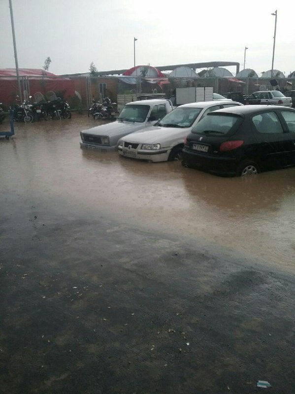 هم اکنون #نمایشگاه_کتاب #شهرآفتاب VaghayeDaily