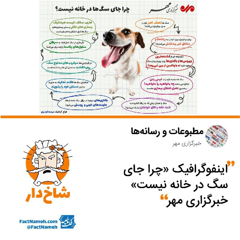 فکتنامه