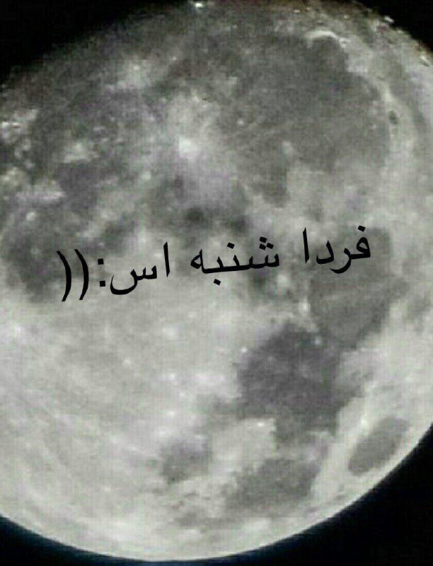 mahsadelfan8