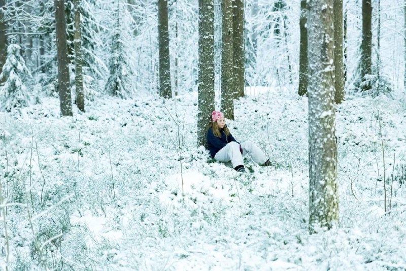 این عکس در #تاریکی شب (مهتاب ضعیف) با #دوربین جدید #نیکون گرفته شده. قراره ۲۰۱۷ بیاد.picolo121