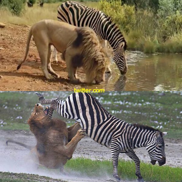 #مناظره_مرده VS #مناظره_زندهab_monfared