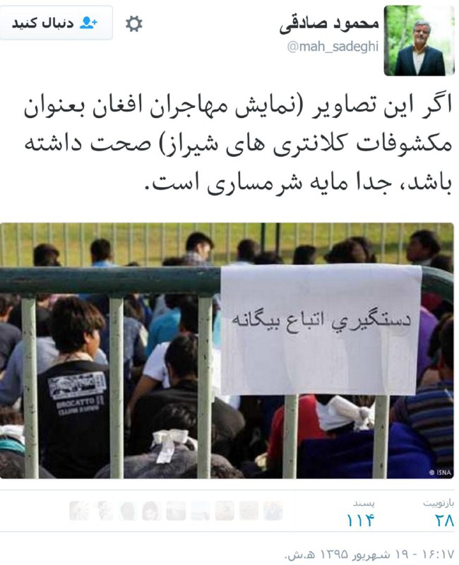 محمود صادقی