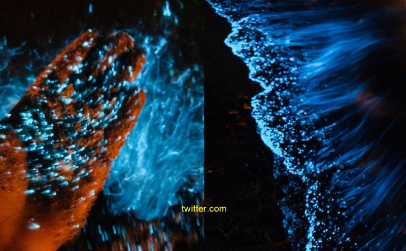 این شب‌ها سواحل #چابهار دیدنی هستند.navid_bhz