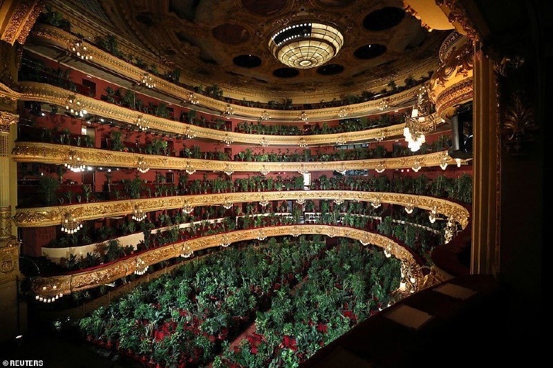 1️⃣این عکس NachoDoce از جایگزین کردن تماشاچیان #کنسرت با #گیاهان در بارسلون از عجیب‌ترین عکس‌های روزگار #کرونا است. EbrahimHeidari2️⃣هنرمندان اسپانیایی روز دوشنبه در اقدامی نمادین، برنامه اجرای موسیقی خود را با وجود محدودیت‌های موجود برای حفظ فاصله اجتماعی در حضور ۳ هزار گلدان حاوی گونه‌های گیاهی متنوع در شهر بارسلون برگزار کردند. در «کنسرت برای کلروفیل»، قطعه «کریسانتمی»(Crisantemi) ساخته آهنگساز نامدار دوره رومانتیک، جاکومو پوچینی، اجرا شد.تماشاگران حاضر در سالن پس از پایان کنسرت به نیروهای درمانی منطقه کاتالونیا اهدا شدند.euronews_pe📡 @VahidOnline1️⃣این عکس NachoDoce از جایگزین کردن تماشاچیان #کنسرت با #گیاهان در بارسلون از عجیب‌ترین عکس‌های روزگار #کرونا است. EbrahimHeidari2️⃣هنرمندان اسپانیایی روز دوشنبه در اقدامی نمادین، برنامه اجرای موسیقی خود را با وجود محدودیت‌های موجود برای حفظ فاصله اجتماعی در حضور ۳ هزار گلدان حاوی گونه‌های گیاهی متنوع در شهر بارسلون برگزار کردند. در «کنسرت برای کلروفیل»، قطعه «کریسانتمی»(Crisantemi) ساخته آهنگساز نامدار دوره رومانتیک، جاکومو پوچینی، اجرا شد.تماشاگران حاضر در سالن پس از پایان کنسرت به نیروهای درمانی منطقه کاتالونیا اهدا شدند.euronews_pe📡 @VahidOnline