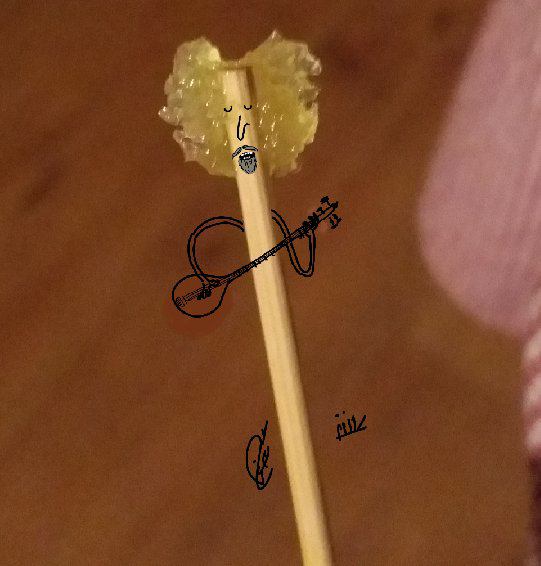 محسن #نامجو در دنیای نباتات.tannazZz7