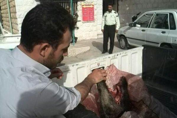 twitter.com/rezahn56/status/752438700622155776مهر