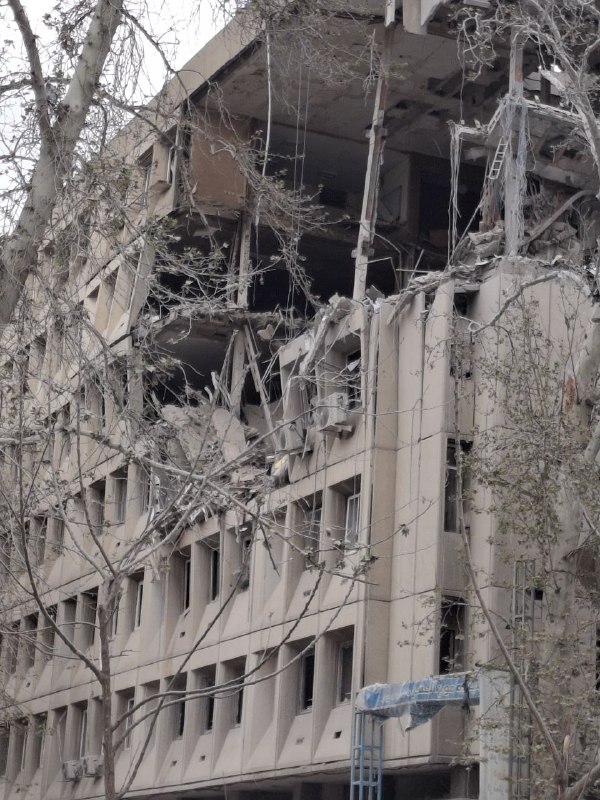 تصاویر دریافتی