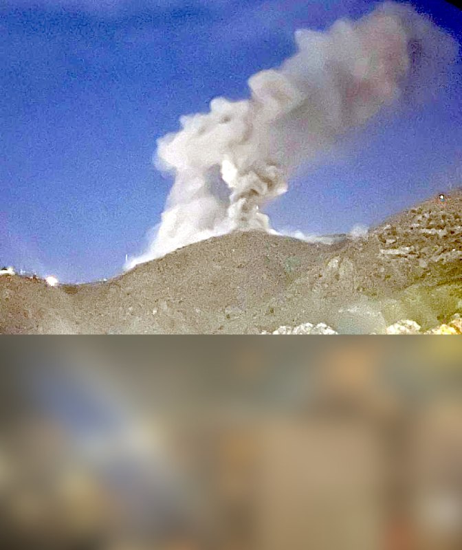 تصاویر دریافتی