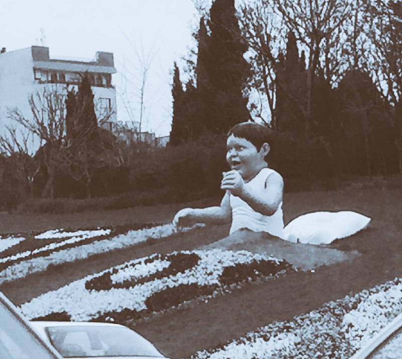 Vahid Online وحید آنلاین