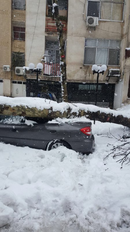 توییت‌های زیادی درباره #برف #رشت و مشکلات #برفی #گیلان نوشته شدهAzimShahedi