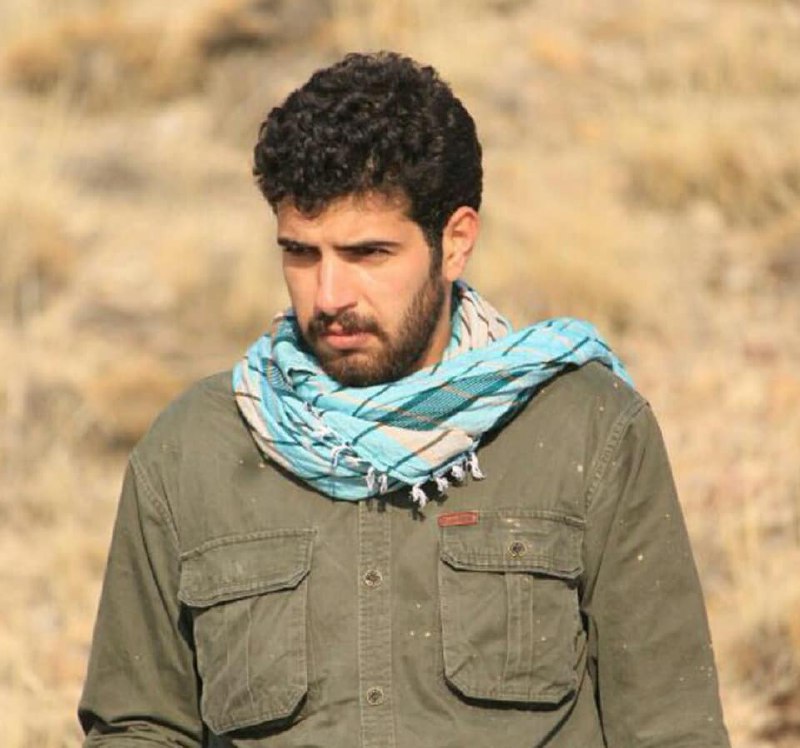 shahed alavi