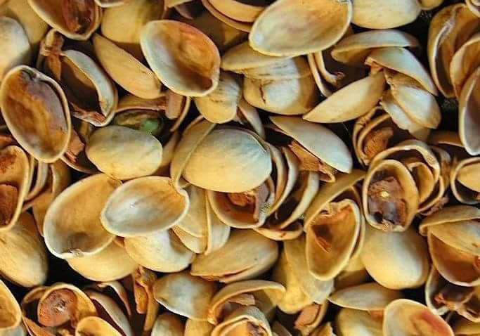 #فرارمغزها به روایت تصویر...BadameSabz