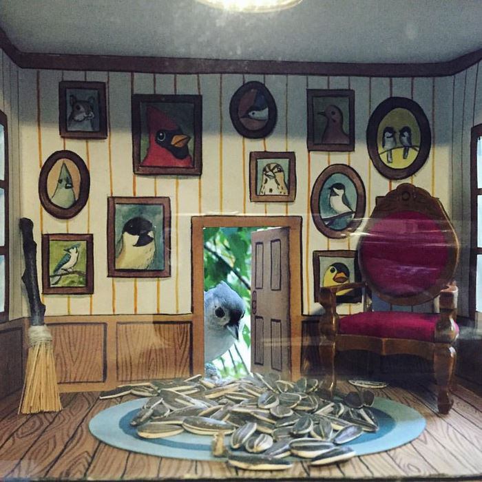 #لانه #پرنده رو توی یک جعبه کاغذی ساخته چسبونده به شیشه و خودش از این ور شیشه خونه‌ای که براشون ساخته رو تماشا می‌کنهvhdo.nl/2g6DJOA📡 @VahidOnline