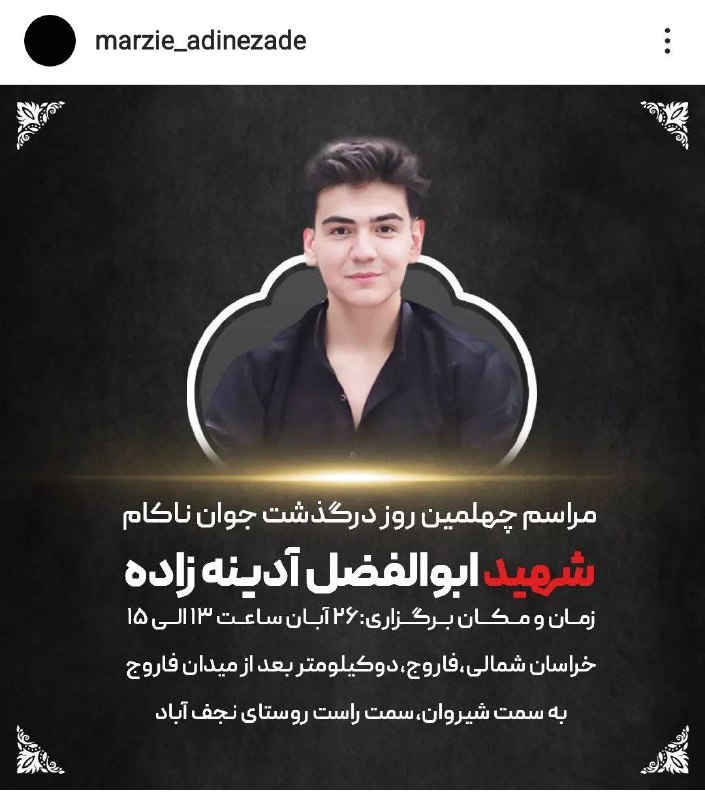 تصویر دریافتی با شرح