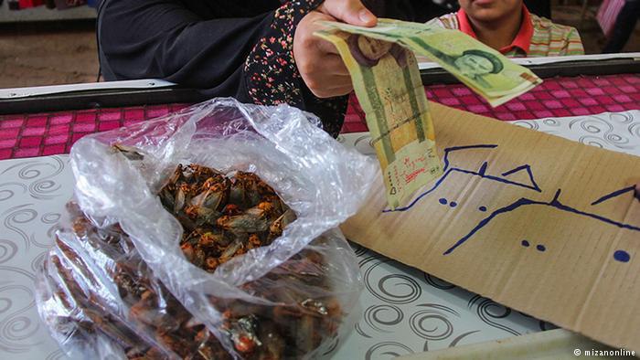 واکنش امام جمعه #سیرجان به گزارش پرحاشیه