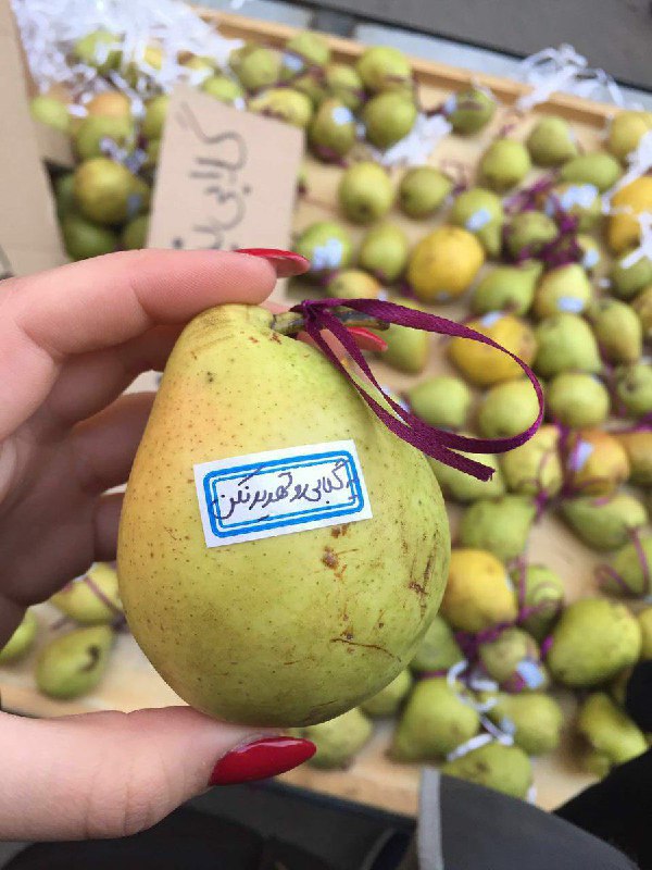 تمسخر جمله‌ی