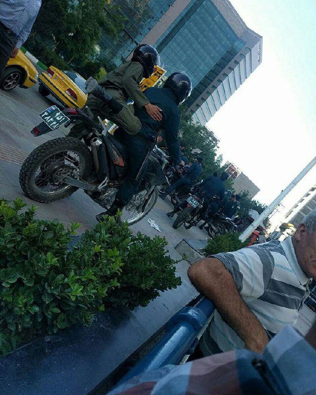 Vahid Online