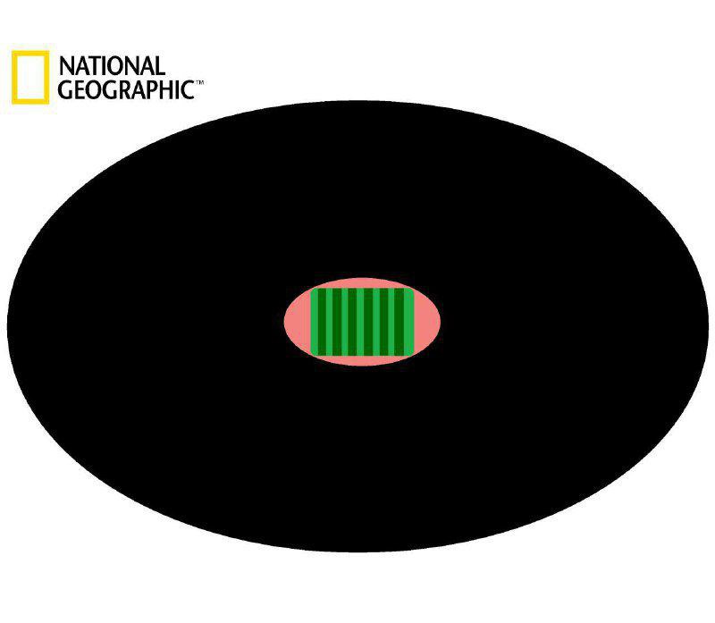 maatbeat