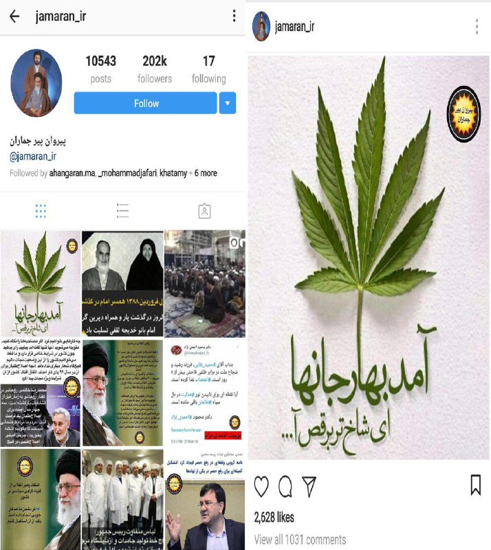 شاخ تر که هیچ، شاخ غول هم به رقص می‌آید... با این «گل»اینستاگرم «پیروان پیر جماران» با عکس علف (#Weed)، سال نو را تبریک گفت SattarSaeedi