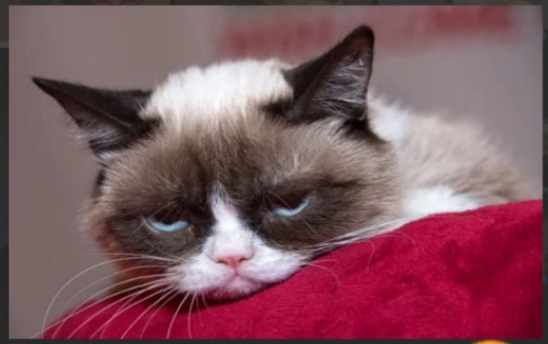 اَتْبَه‌ُالتَبْاهین