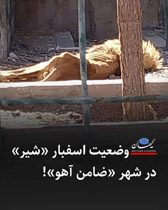 KayhanLondon کیهان لندن (@KayhanLondon) on X