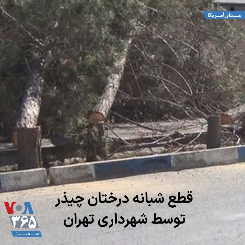 VOA Farsi صدای آمریکا