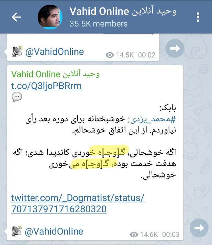 شاهین علیرضا‎