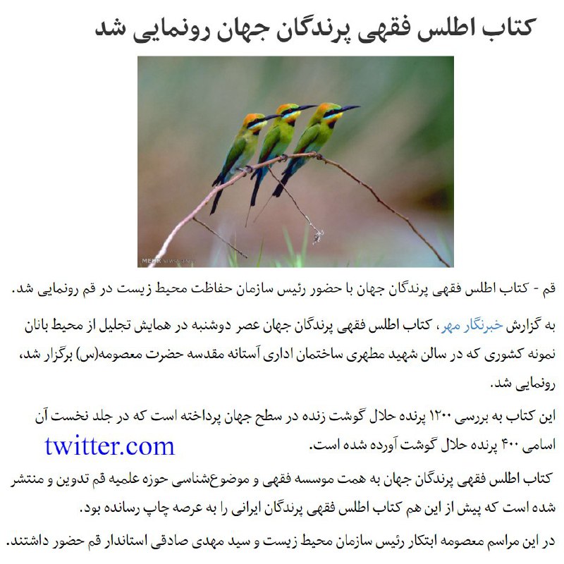 Vahid Online