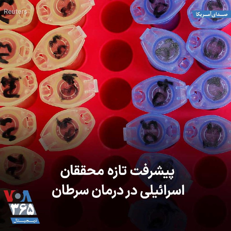 VOA Farsi صدای آمریکا (@VOAfarsi) on X