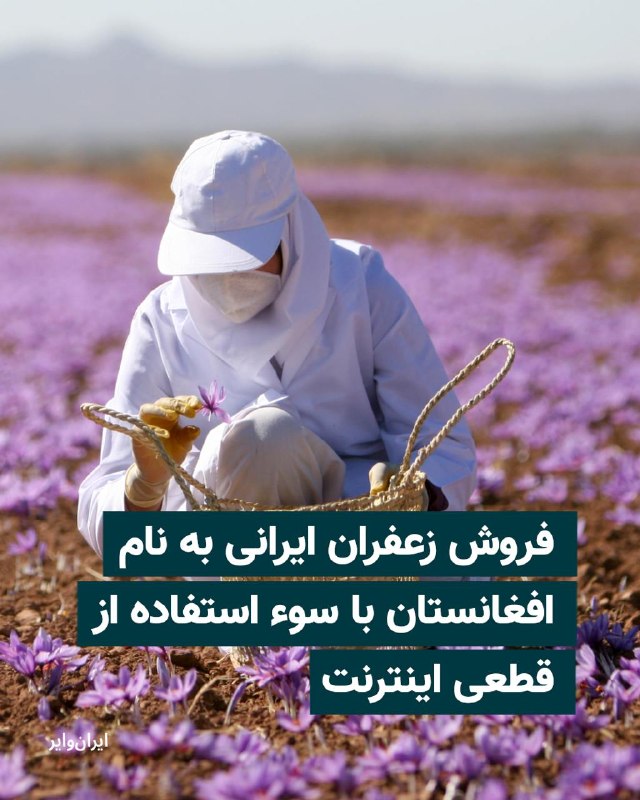 رئیس شورای ملی زعفران با گلایه از قطعی اینترنت بین‌المللی می‌گوید